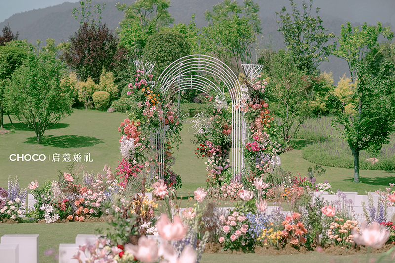 啟蔻案例 | Colorful Day