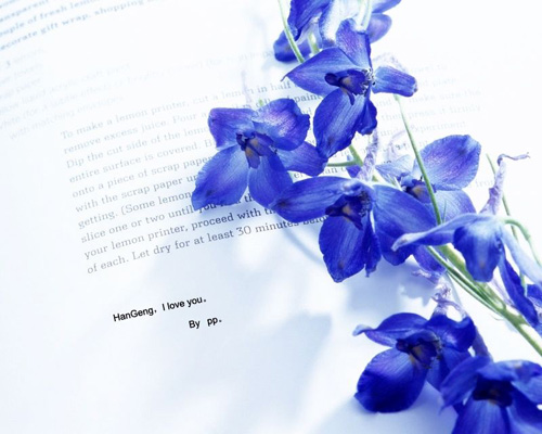 那些浪漫的花語(yǔ)助你籌備最浪漫的婚禮