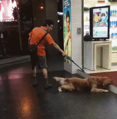 1069895801.gif