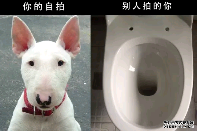 微信截圖_20170118211207.png