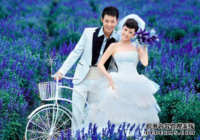 薰衣草婚紗樣片 普羅旺斯在東方2.png
