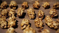 麝香貓咖啡 帶你探秘咖啡中的奢侈品